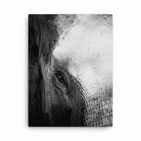 Elephant of Chiangmai - canvas canvas mural art