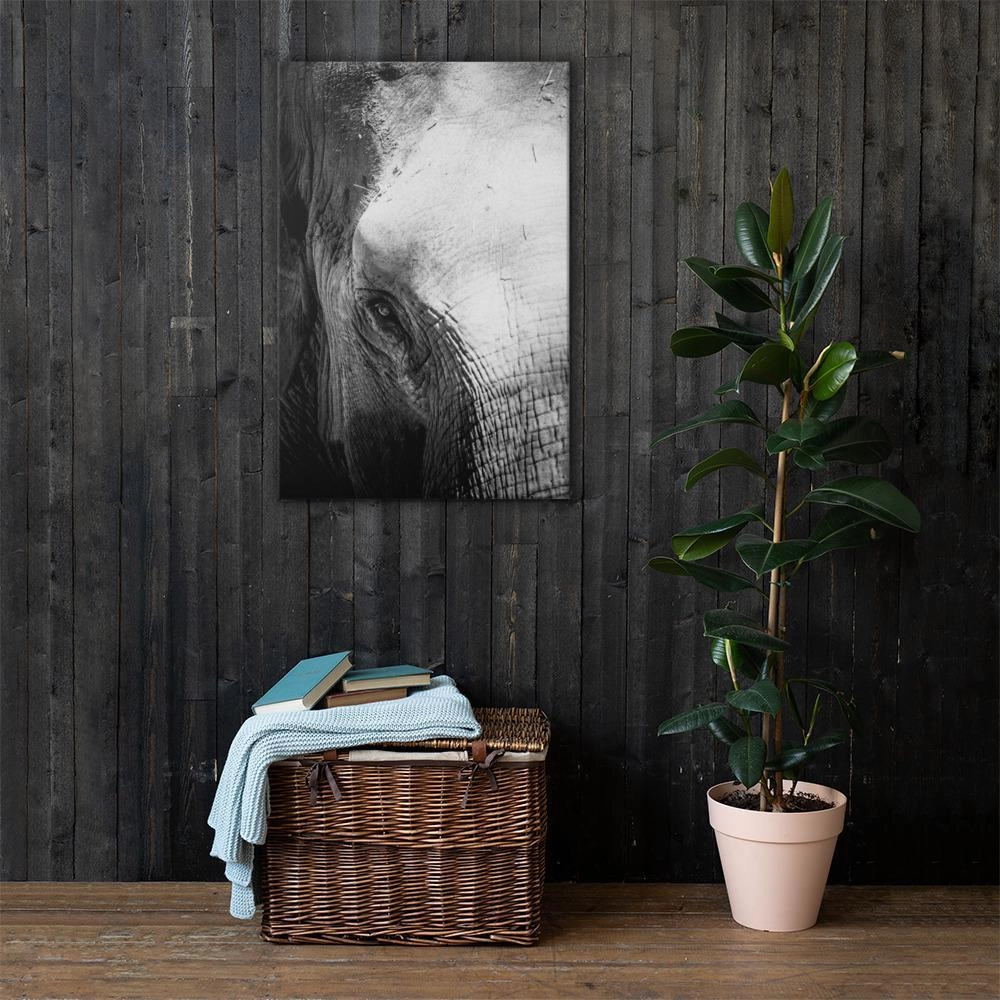Elephant of Chiangmai - canvas