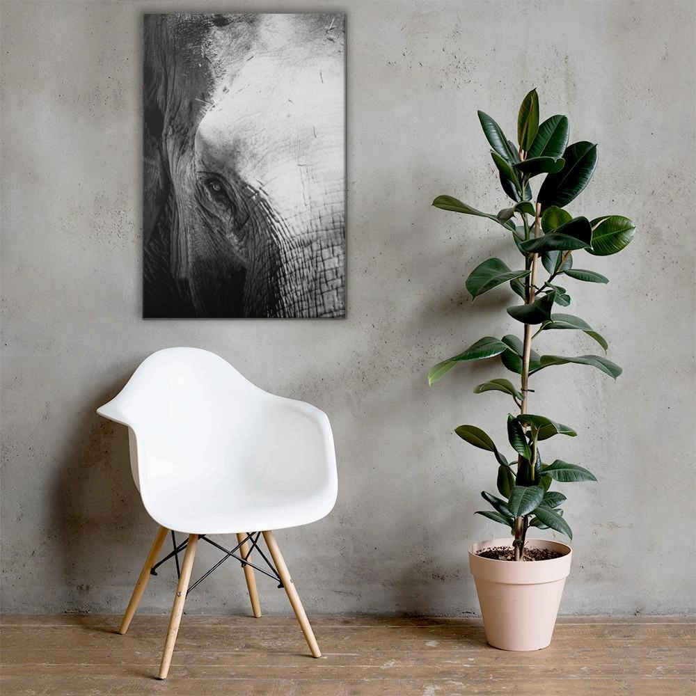 Elephant of Chiangmai - canvas