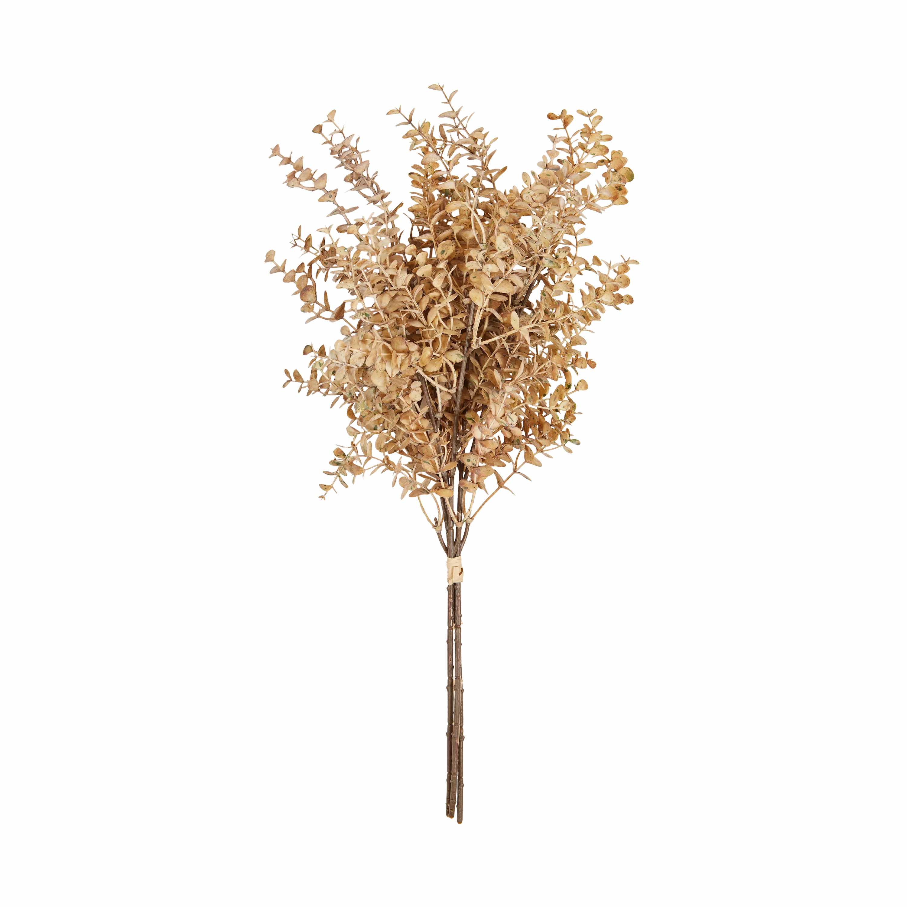 Eucalyptus Bunch elegant wall decor
