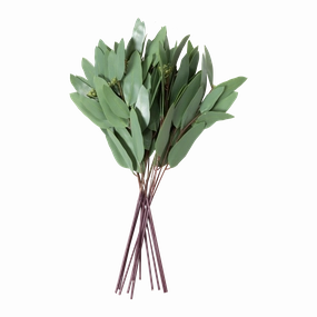 Eucalyptus Bundle elegant wall decor