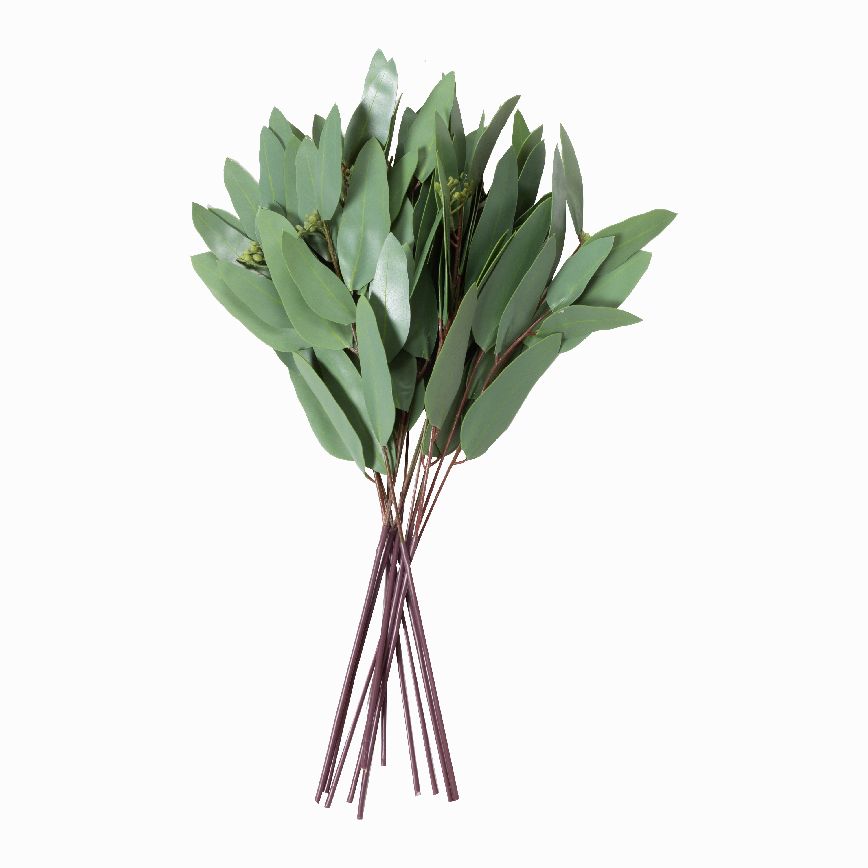 Eucalyptus Bundle elegant wall decor