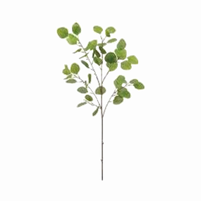Eucalyptus Leaf Spray Plant elegant wall decor