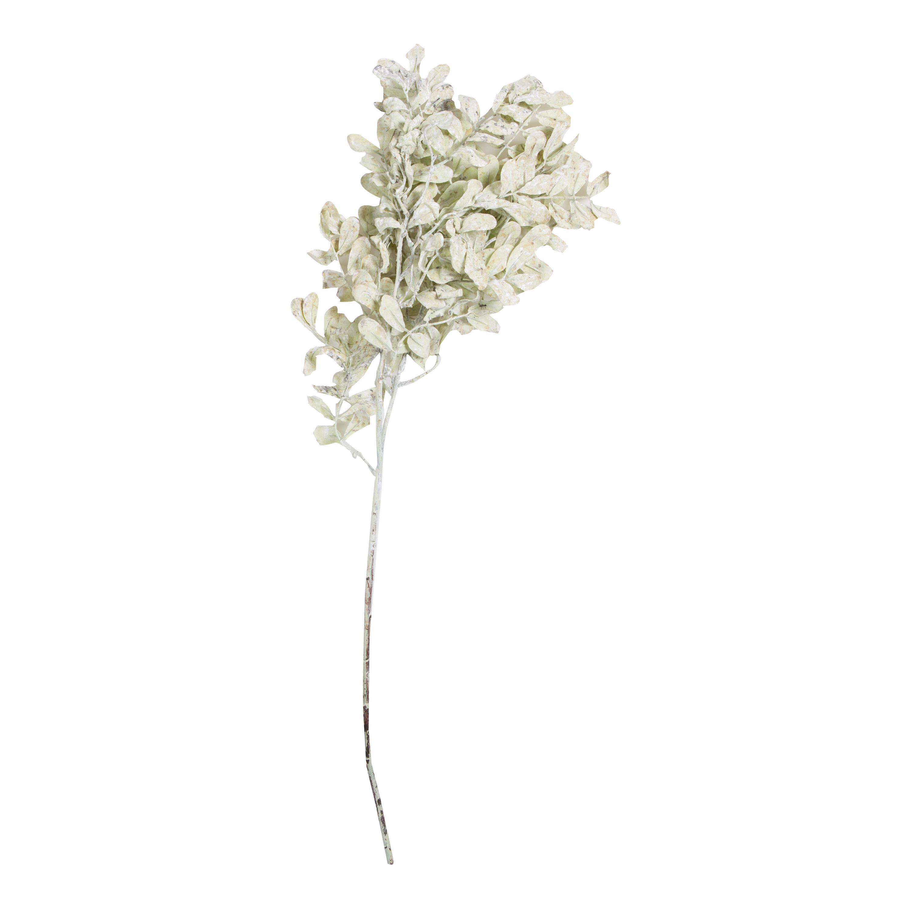 Eucalyptus Stem elegant wall decor