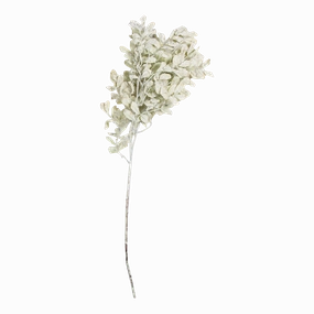 Eucalyptus Stem elegant wall decor