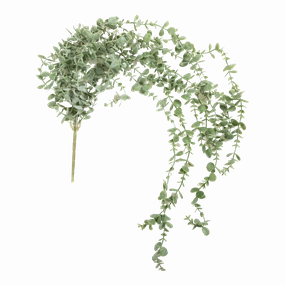 Eucalyptus Trailing Stem elegant wall decor
