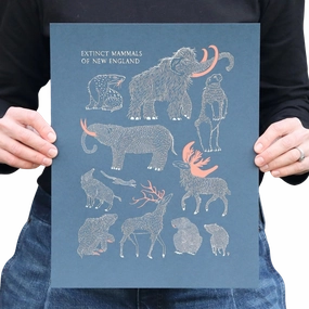 Extinct Mammals of New England Print framed wall decor