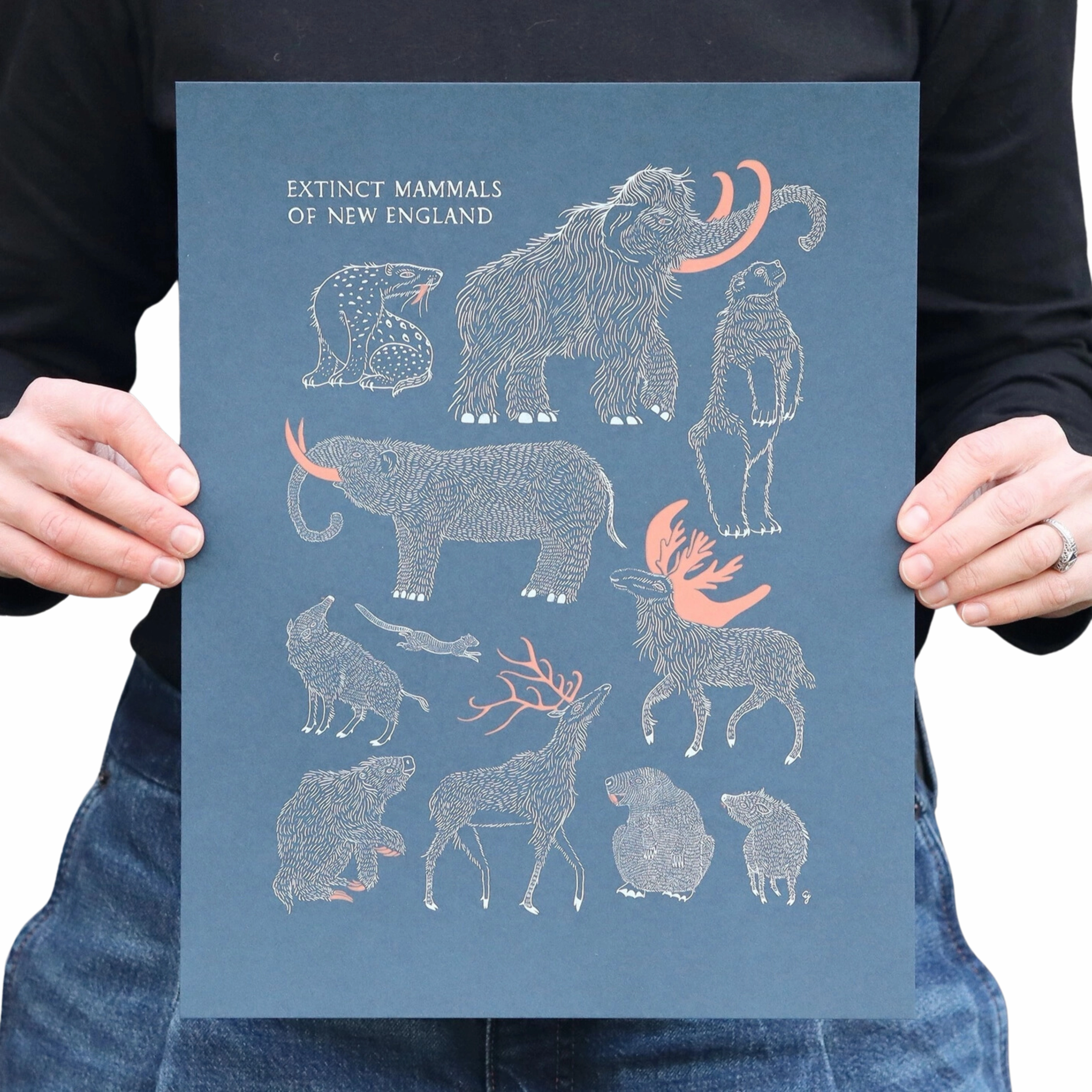 Extinct Mammals of New England Print framed wall decor
