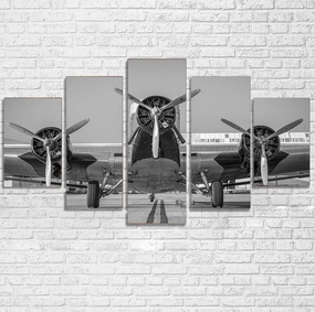 Face to Face to 3 Engine Old Airplane Printed Multiple Canvas Poster canvas mural art