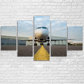 Face to Face with Beautiful Jet Printed Multiple Canvas Poster canvas mural art