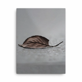 Fallen Leaf - Canvas canvas mural art
