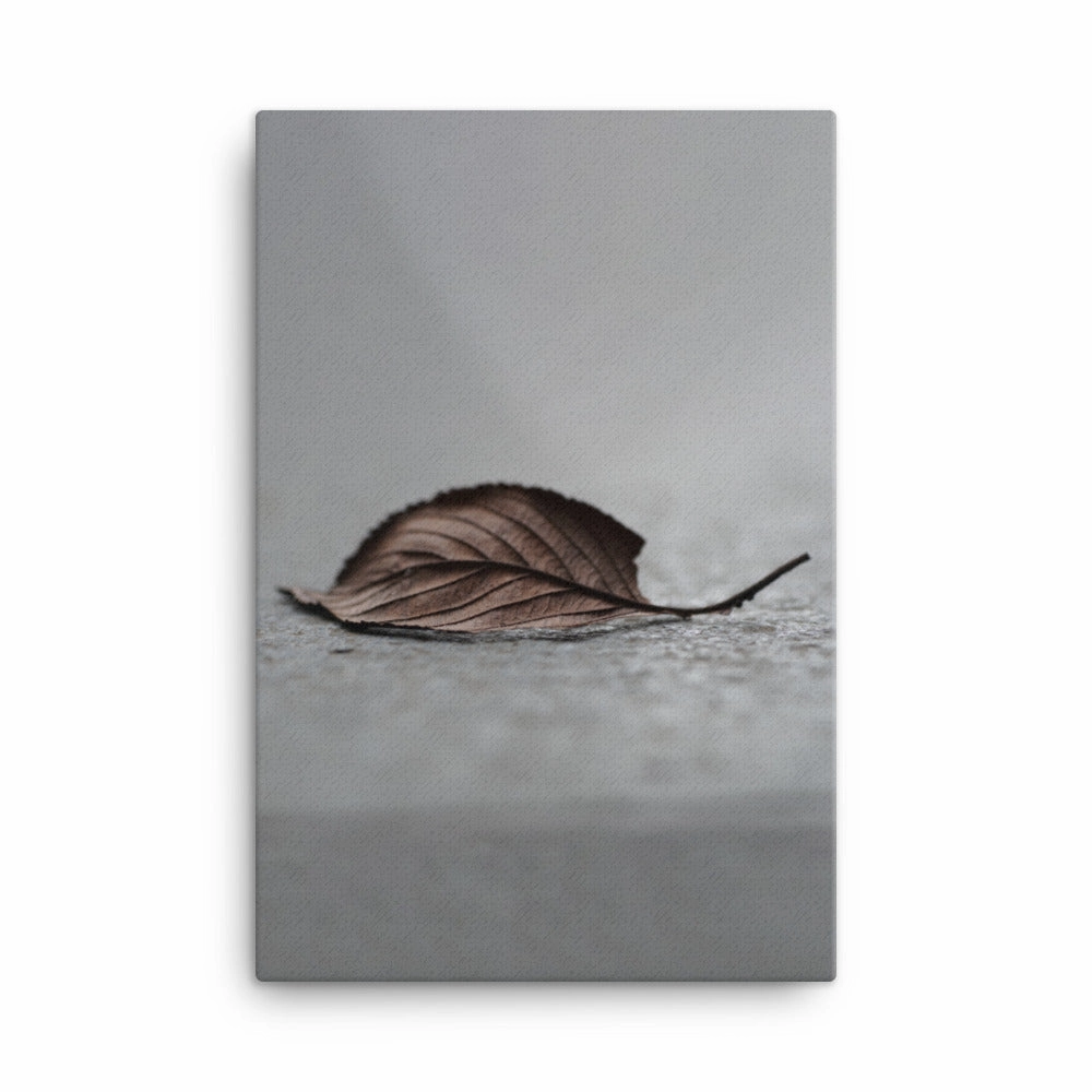 Fallen Leaf - Canvas