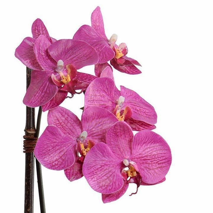 Faux 18" Fuchsia Phalaenopsis Orchid in White Ceramic Bowl
