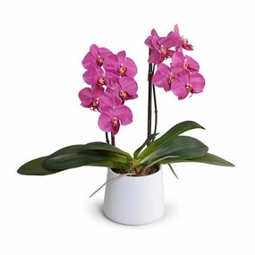 Faux 18" Fuchsia Phalaenopsis Orchid in White Ceramic Bowl home display ornament