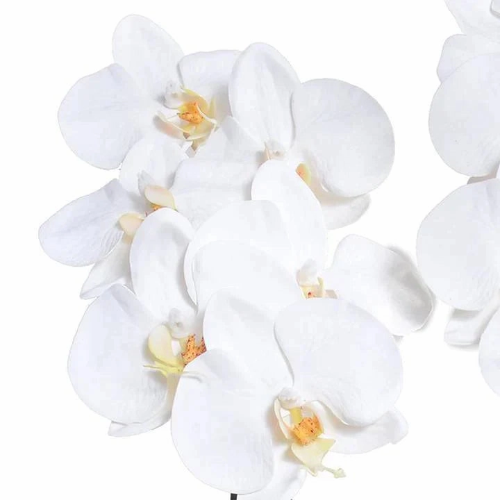 Faux 18" Phalaenopsis Orchids in White Ceramic Bowl
