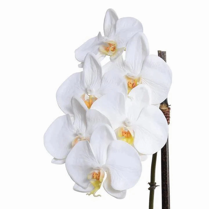 Faux 18" Phalaenopsis Orchids in White Ceramic Bowl