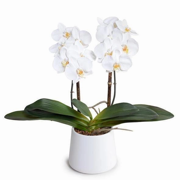 Faux 18" Phalaenopsis Orchids in White Ceramic Bowl home display ornament