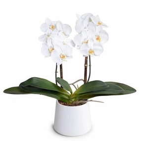 Faux 18" Phalaenopsis Orchids in White Ceramic Bowl home display ornament