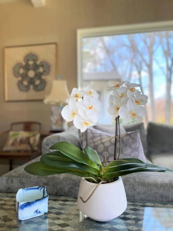 Faux 18" Phalaenopsis Orchids in White Ceramic Bowl