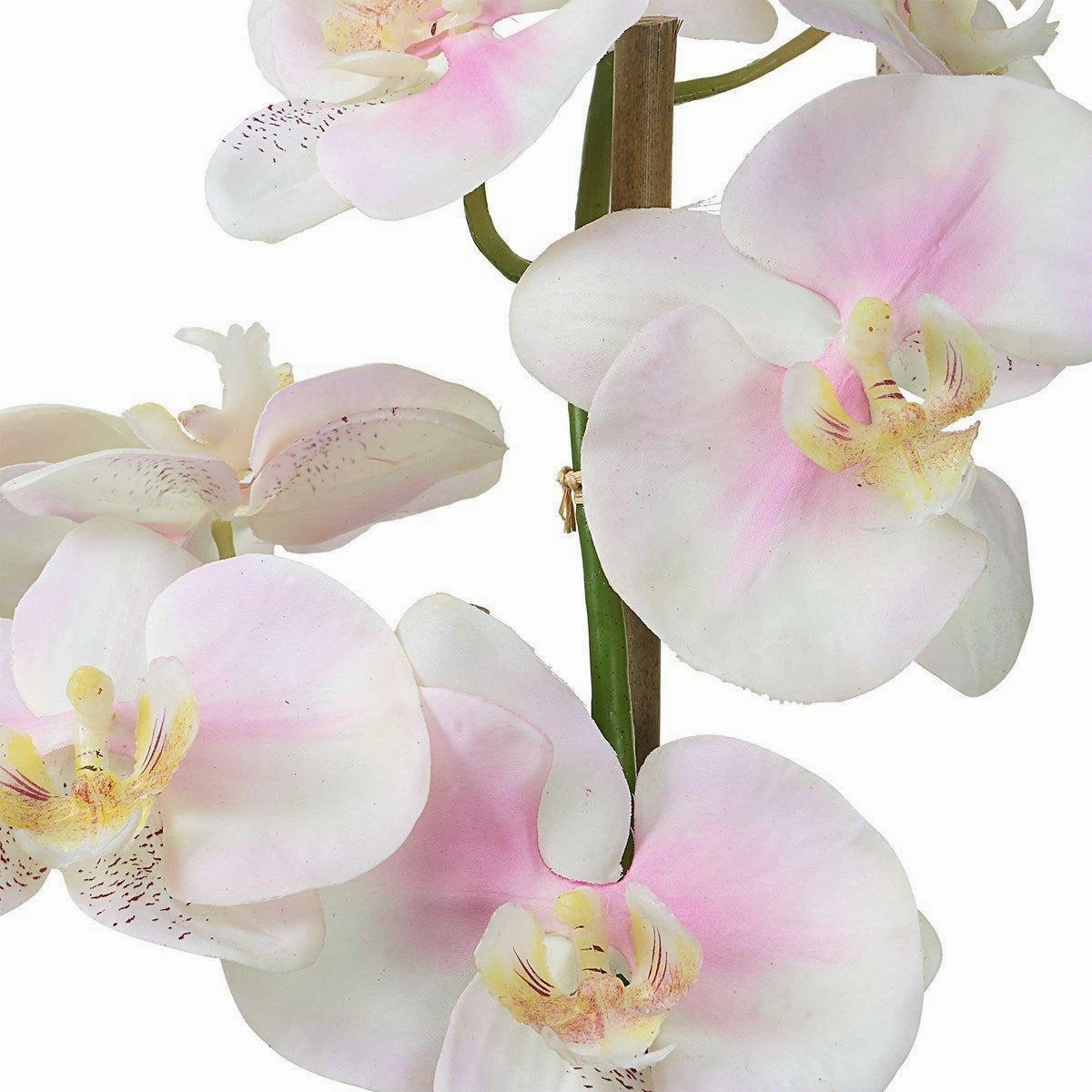 Faux Blush Orchid in Glass Bowl