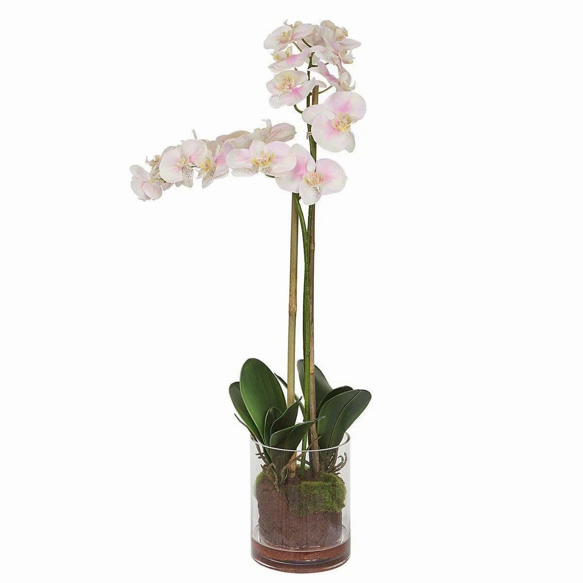 Faux Blush Orchid in Glass Bowl