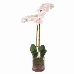 Faux Blush Orchid in Glass Bowl home display ornament