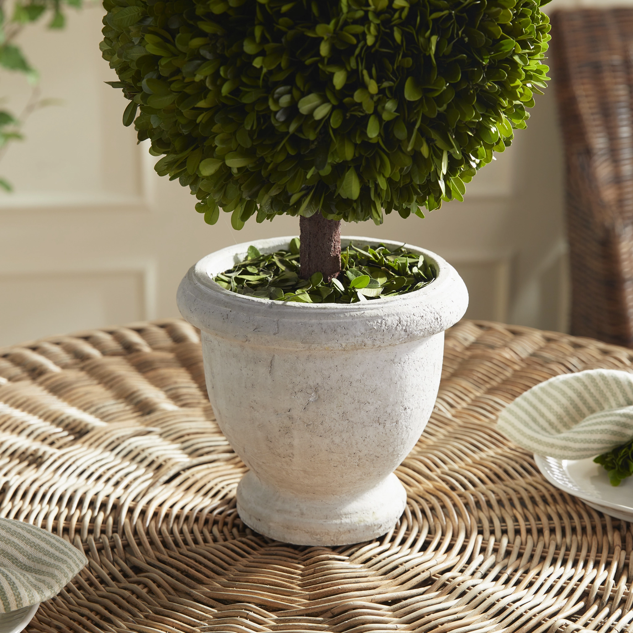 Faux Boxwood Single Ball 11" Topiary in White Pot