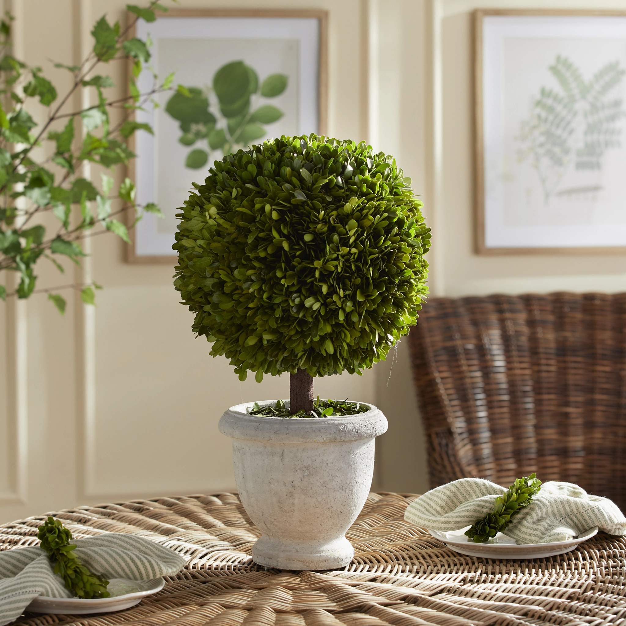 Faux Boxwood Single Ball 11" Topiary in White Pot
