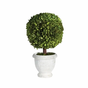 Faux Boxwood Single Ball 11" Topiary in White Pot home display ornament
