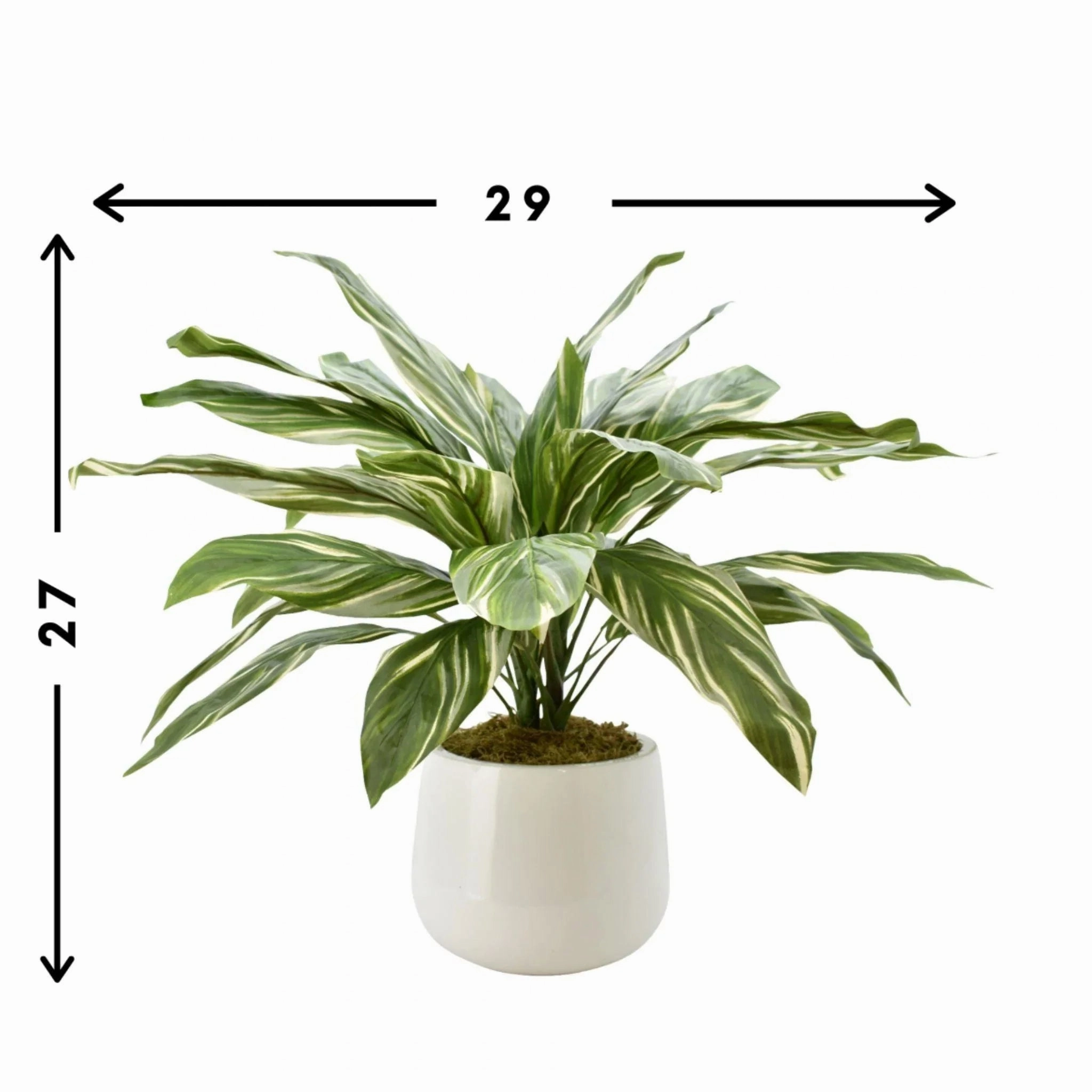 Faux Cordyline Plant in White Glossy Pot
