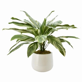 Faux Cordyline Plant in White Glossy Pot home display ornament
