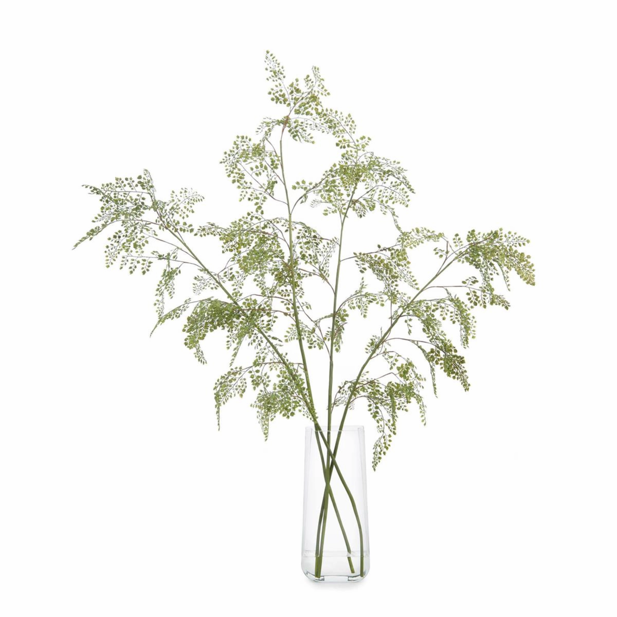 Faux Fern Fronds in Water home display ornament