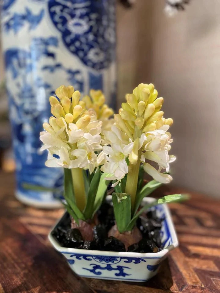 Faux Hyacinth Bulbs in Blue & White Porcelain Dish