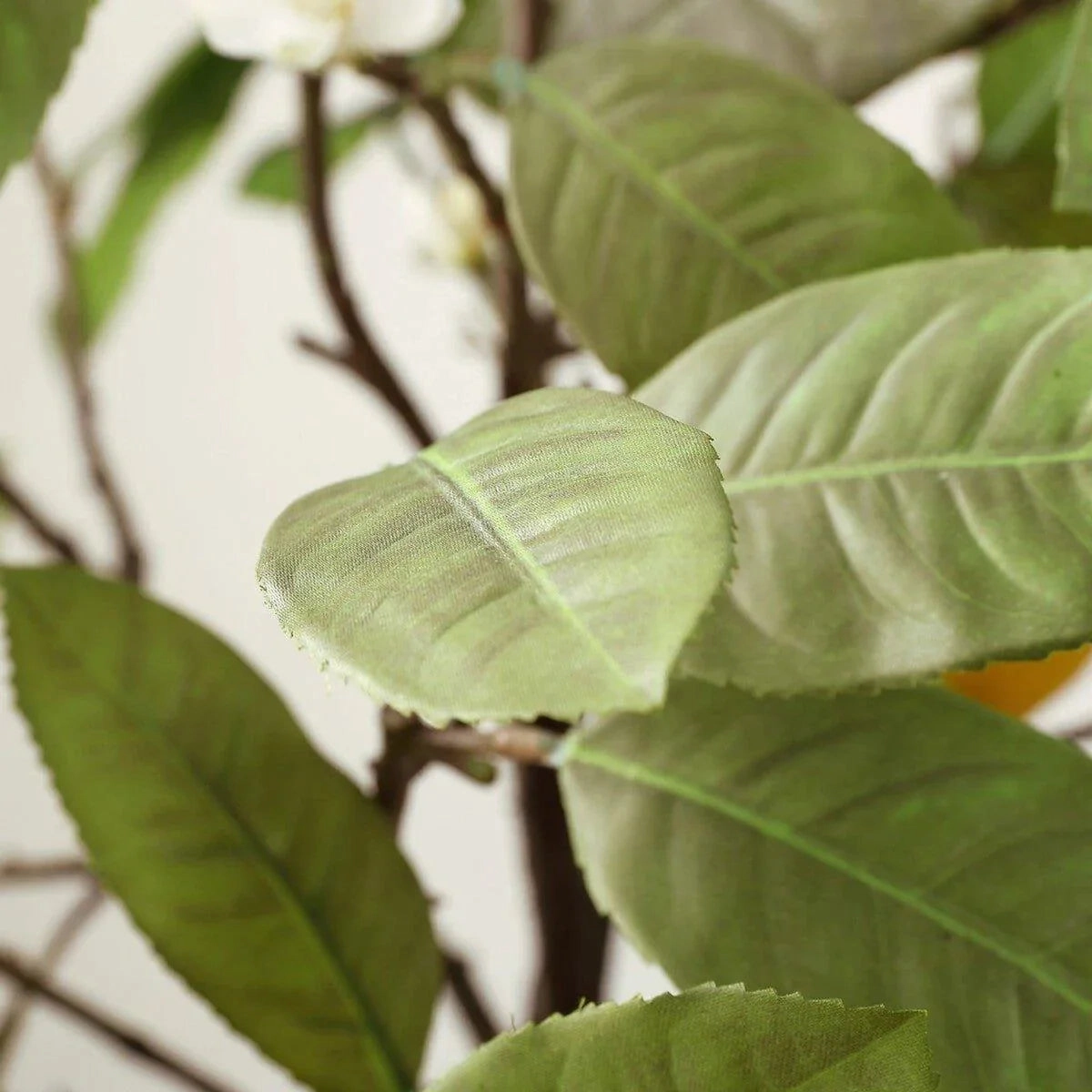 Faux Lemon Tree in White Ceramic Pot
