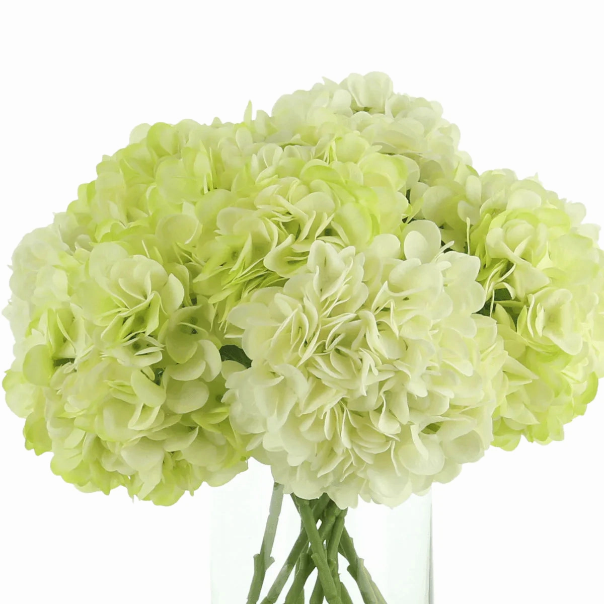 Faux Light Green & Cream Hydrangeas