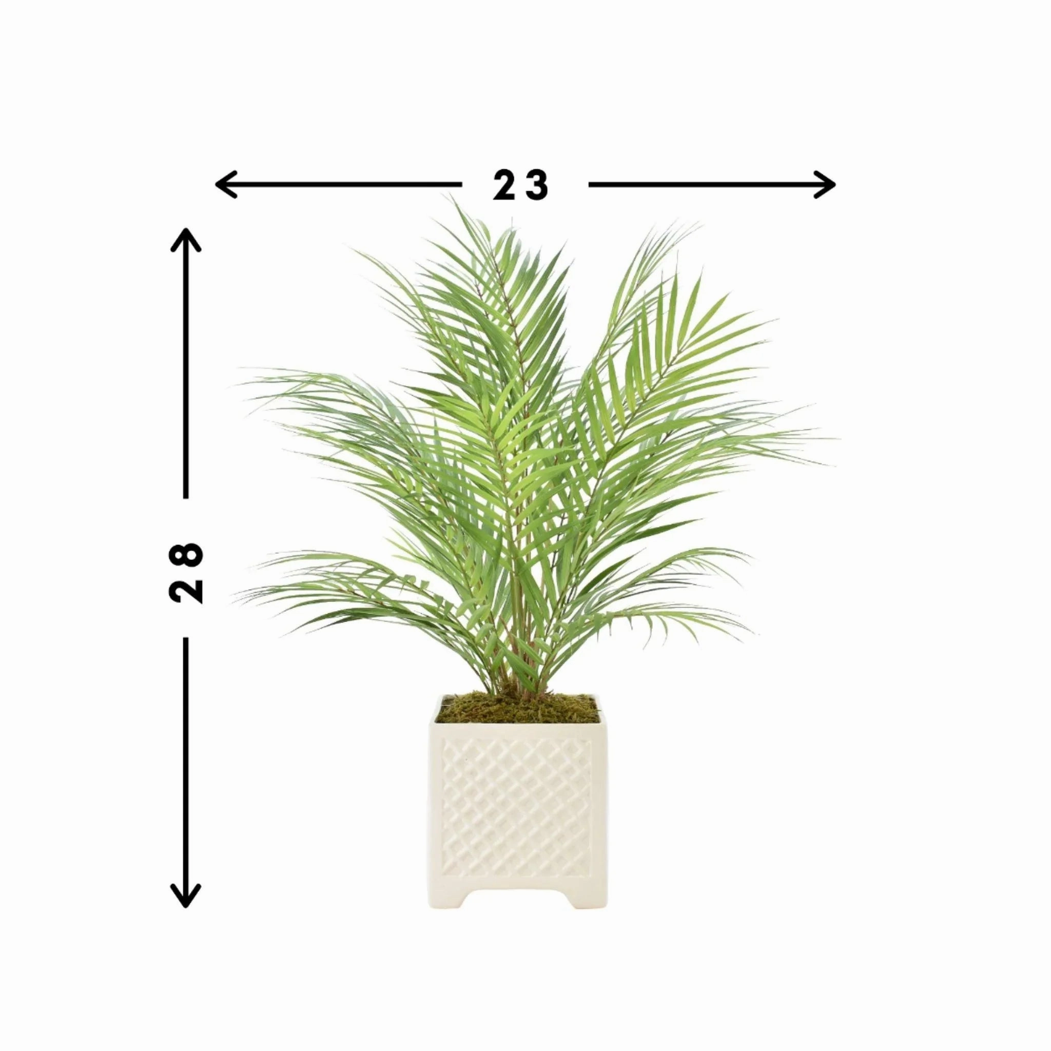 Faux Palm Tree in Ceramic Square Pot