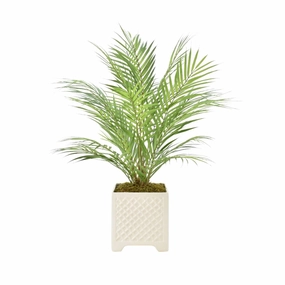 Faux Palm Tree in Ceramic Square Pot home display ornament