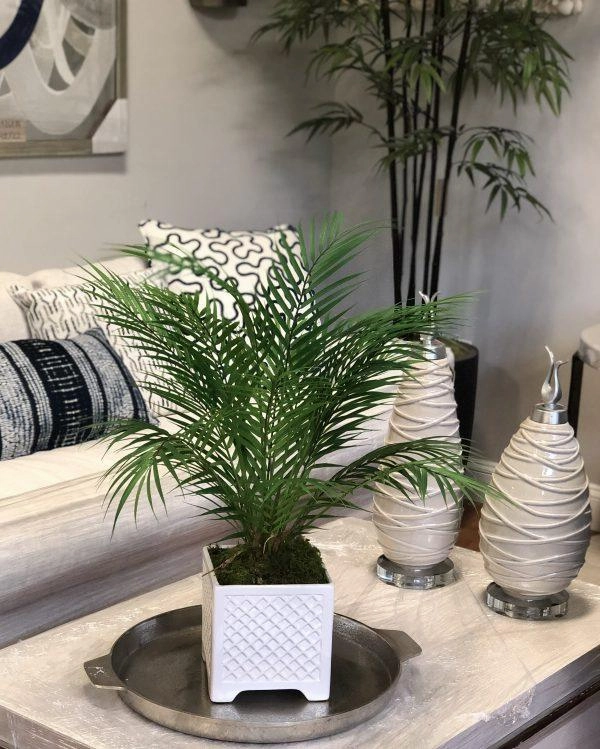 Faux Palm Tree in Ceramic Square Pot