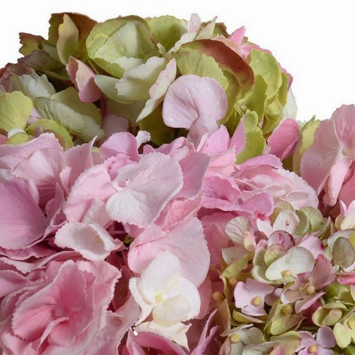 Faux Pink & Green Hydrangea Arrangement in Glass Vase