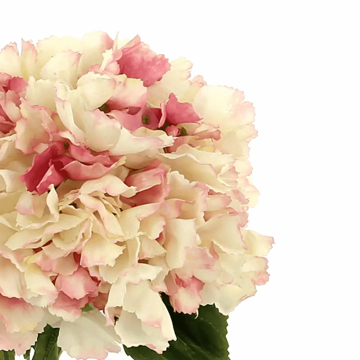 Faux Pink Tipped Hydrangea Floral Arrangement