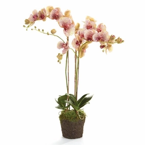 Faux Speckled Pink Phalaenopsis Orchid Drop-in Arrangement home display ornament