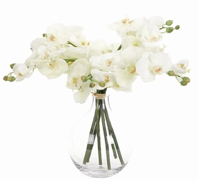 Faux White Orchid Phalaenopsis Arrangement in Glass Bubble Vase home display ornament