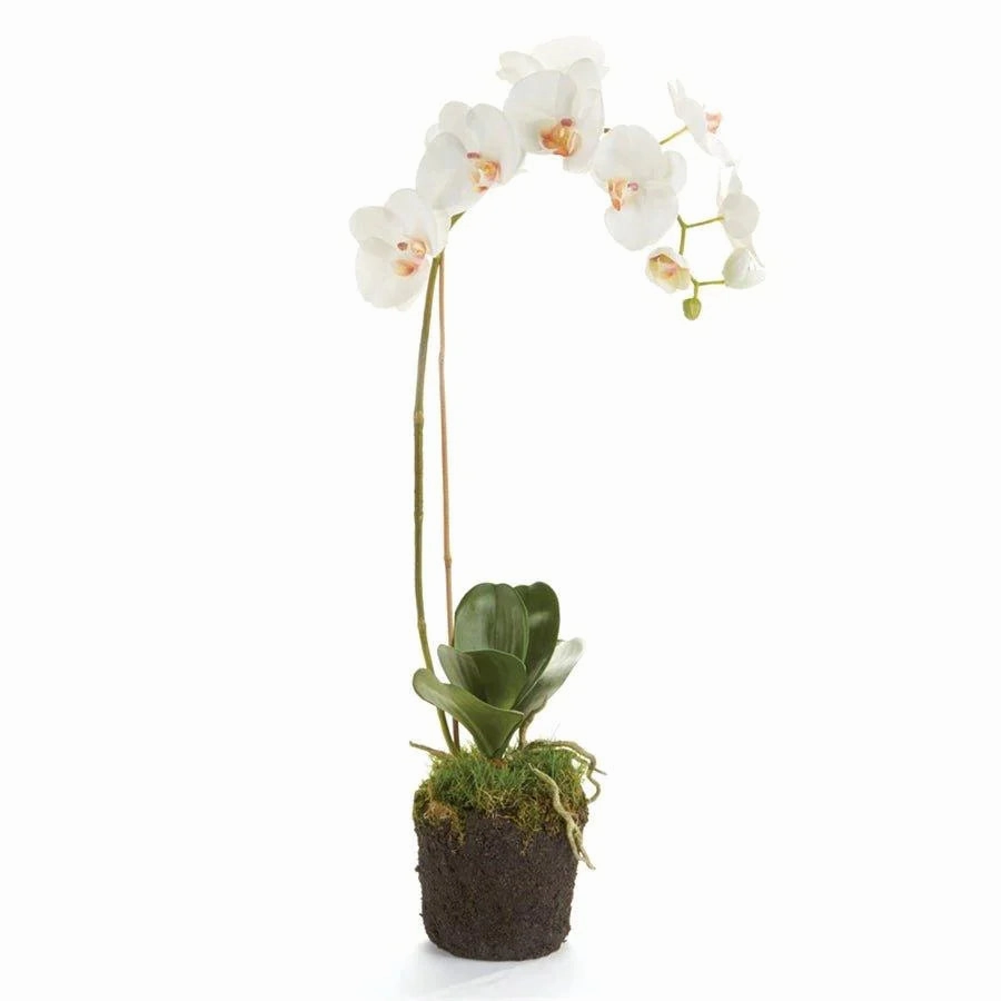 Faux White Phalaenopsis Orchid Drop-in home display ornament