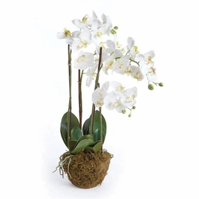 Faux White Phalaenopsis Orchid Drop-in Arrangement home display ornament