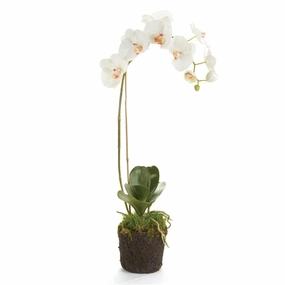 Faux White Phalaenopsis Orchid Drop-in home display ornament