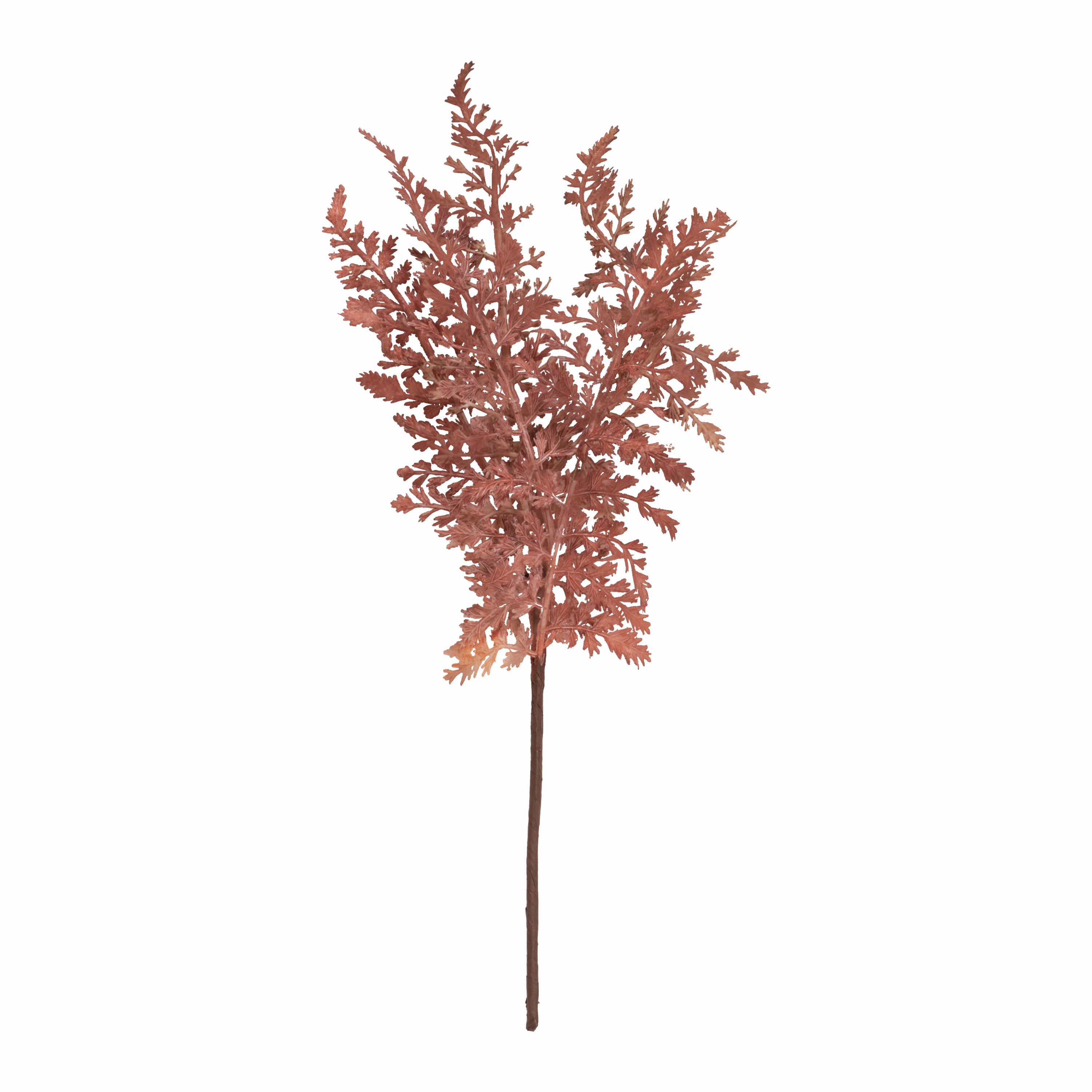 Fern Bush Stem elegant wall decor