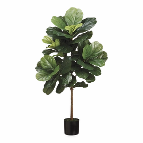 Fiddle Leaf Tree elegant wall decor