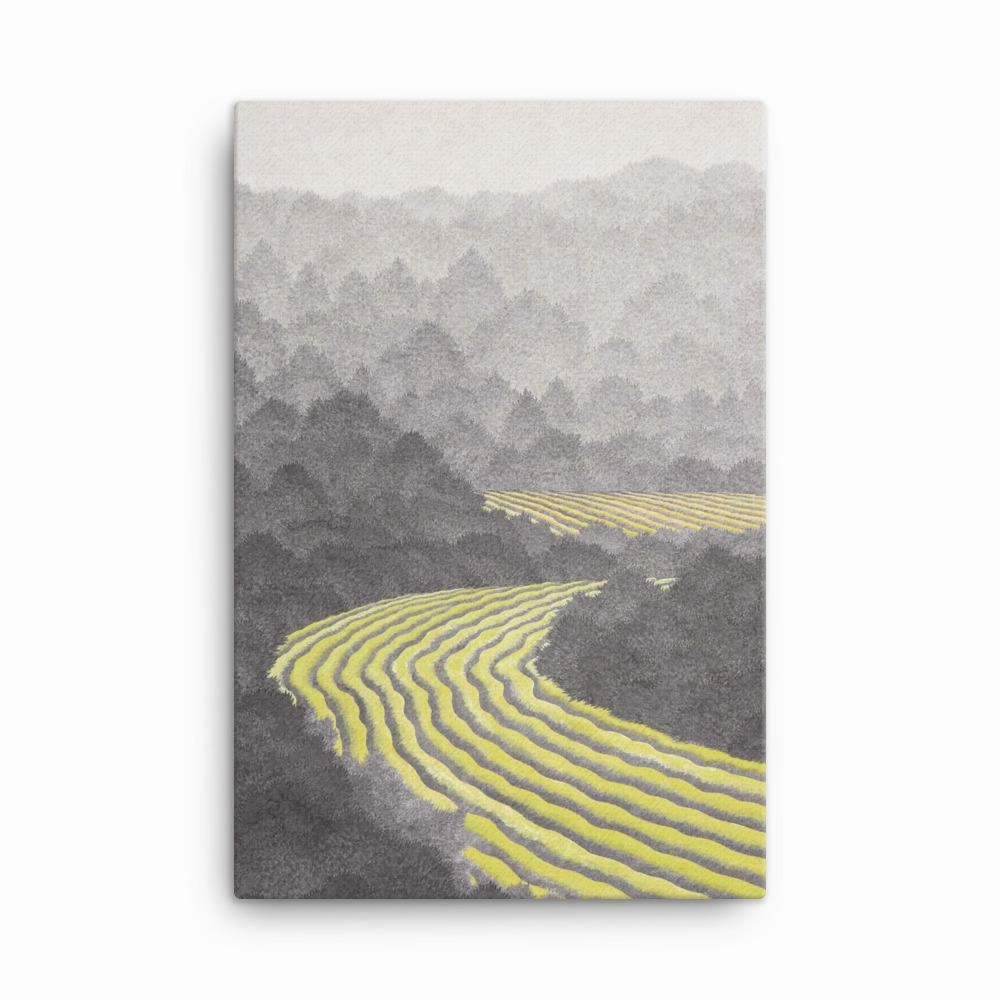Fields 02 - Canvas