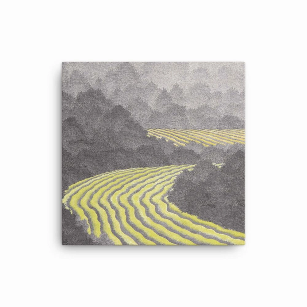 Fields 02 - Canvas