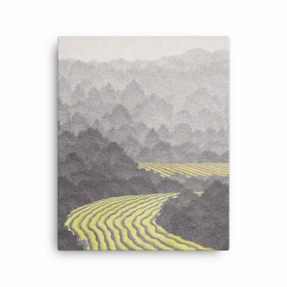 Fields 02 - Canvas